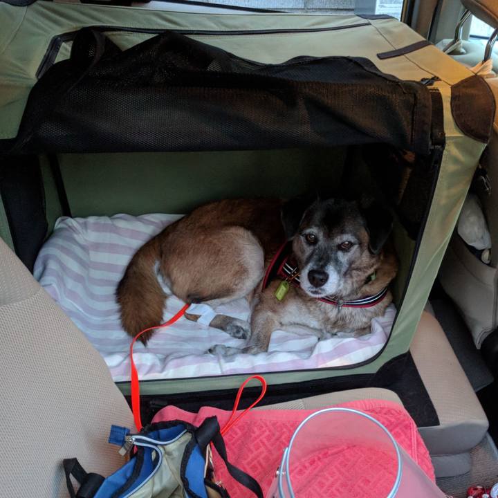 7cc811ea ae91 46e3 bc70 6a88968a1daf 1543564435863