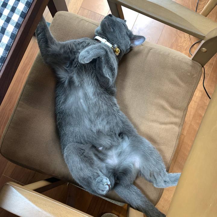 7cc82ad8 6ee7 4986 af50 614960cefd52 1631848718979