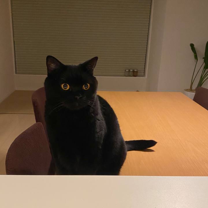 7cc83a71 d7b6 4ca8 88cd 285a5927e5c8 1667038020402