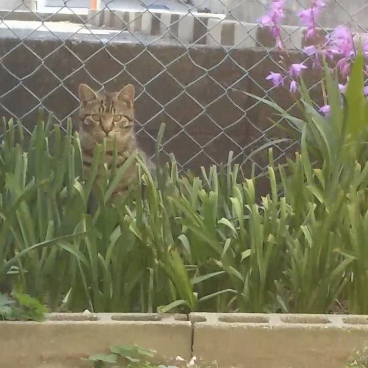 7cc84c5c 8ac5 45df bc5c 7c55aa422d2e 1557300182043