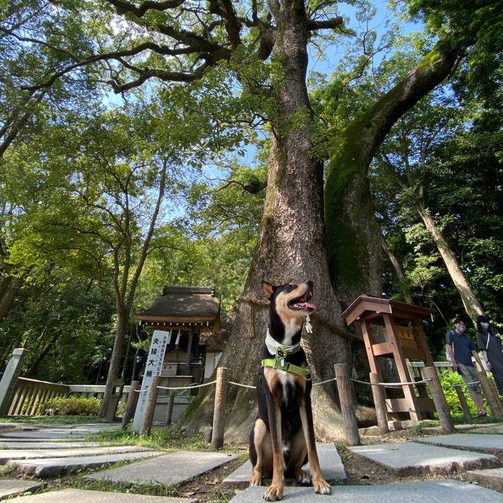 7cc88d95 d781 4d8e 9b2b f39d02b6a782 1624272760274