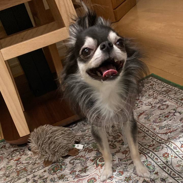 7cc8d03c f9ae 4850 9e2a 5f5c606ff54d 1669557159950