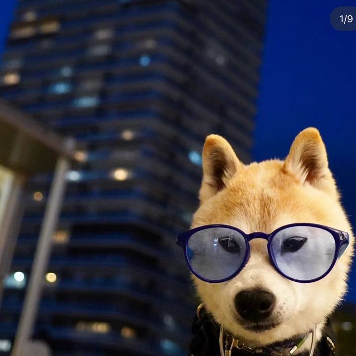 7cc9172a ac2e 46aa a67d 170e812f6ce1 1727240748301