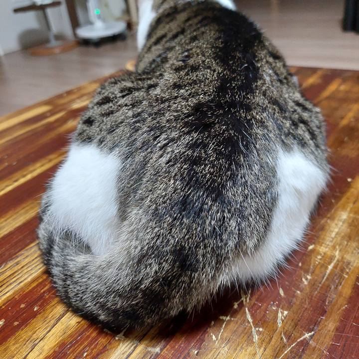 7cc93b69 55d6 4582 8977 c3e6121e9fef 1695726808453