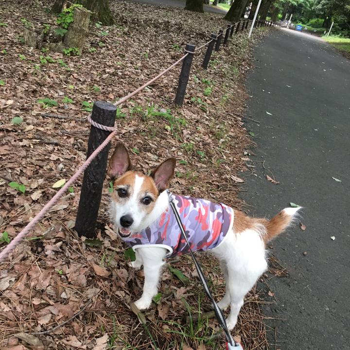 7cc9be70 a350 46b4 8fe5 f9aa18b68fba 1563001101413