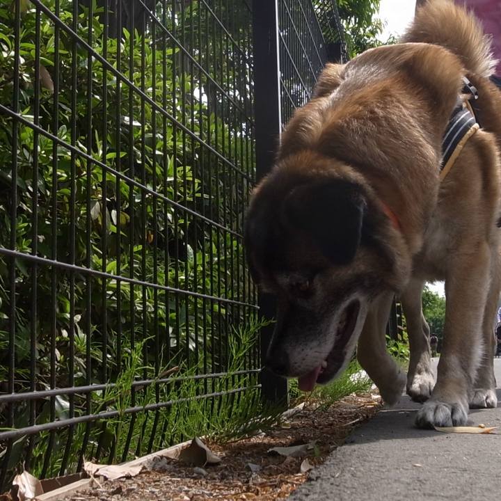 7cc9e27c 44d9 4316 be70 f871dddbd823 1586133649632