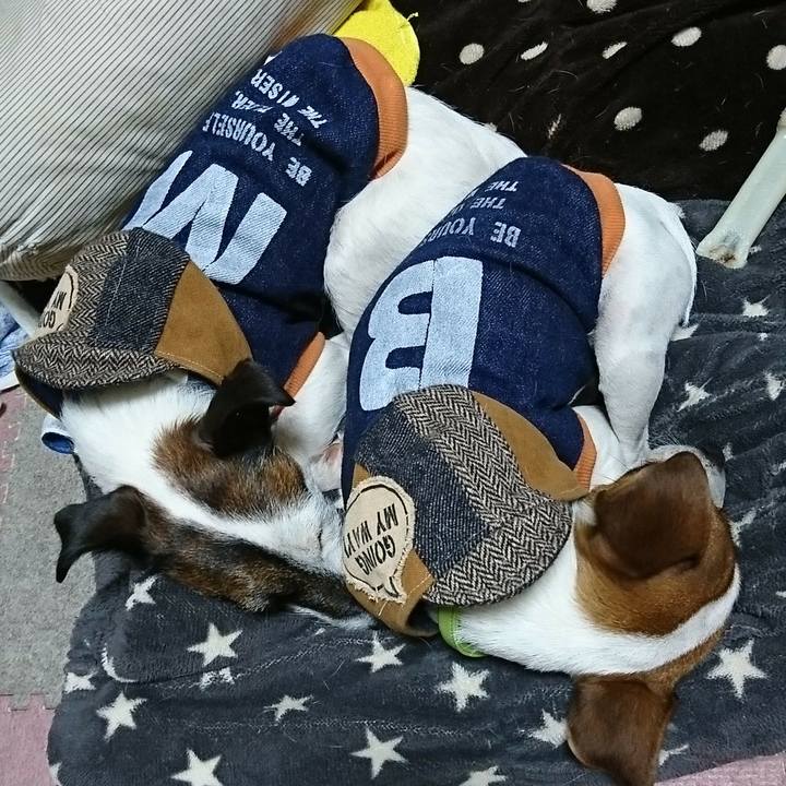 7cc9e9d0 6c21 474f a362 a878208df951 1547893145631