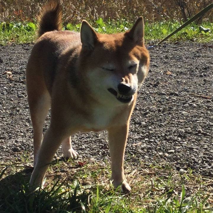 7cca00db dbec 4a35 96c5 ca363aa01d6d 1575436990273