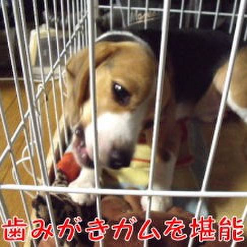 7cca2648 70c3 44ab 8931 815461eb5d01 1696637136028