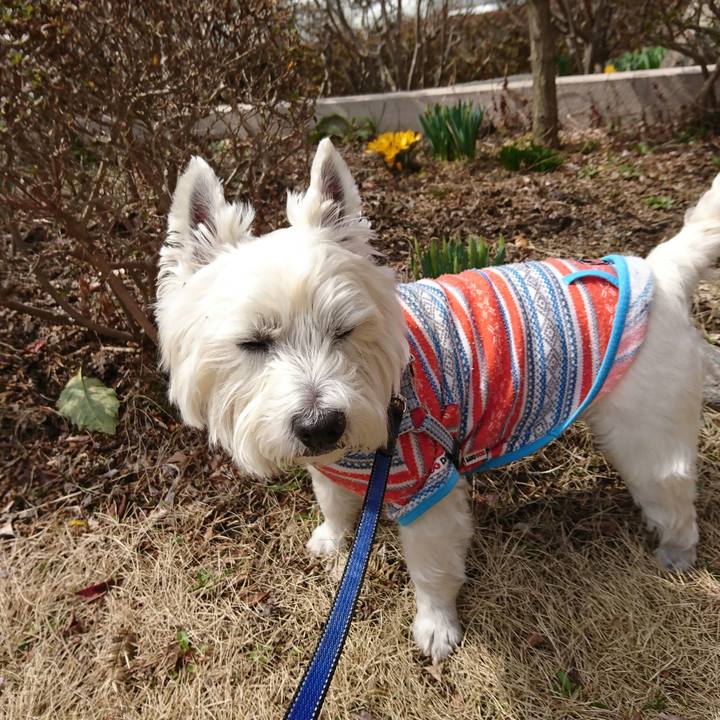 7cca7532 e118 4e49 8754 5deca2453f7b 1522733836192