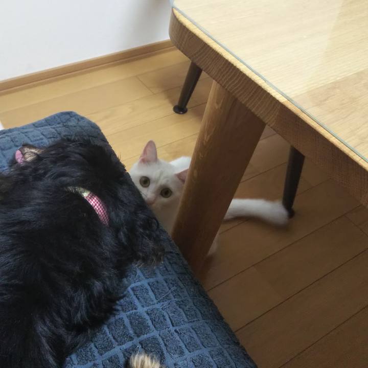 7cca7a83 57ab 44f1 9889 3c9281999fb5 1625611837116