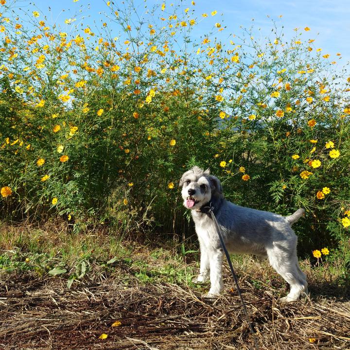 7cca93d8 e0a4 4b6e 8f34 244269e3fe2b 1758842828244