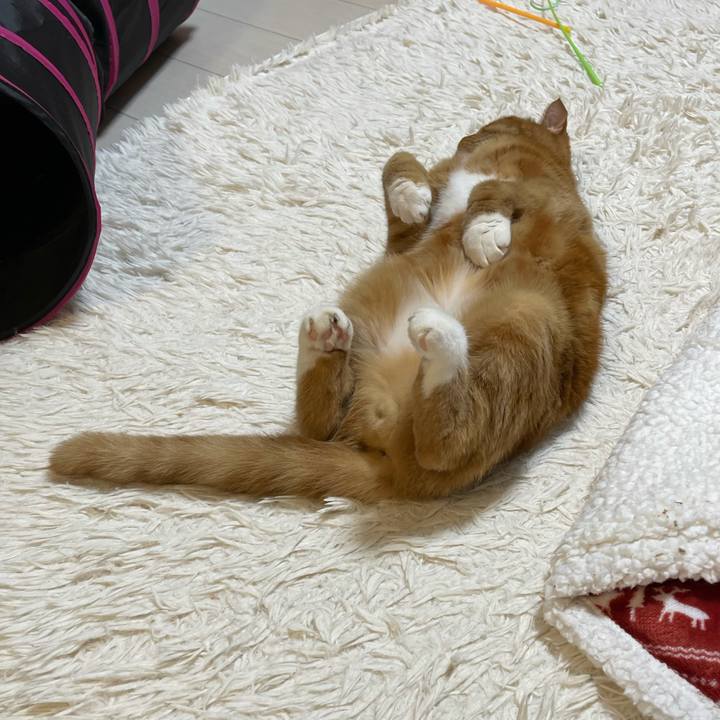 7ccaff7d 2aa6 4181 9477 7d9c67d6df42 1636282221783