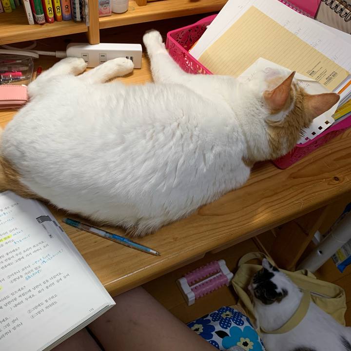 7ccb3dcb 371b 49ff 85b2 1b84821bf11c 1633724275046