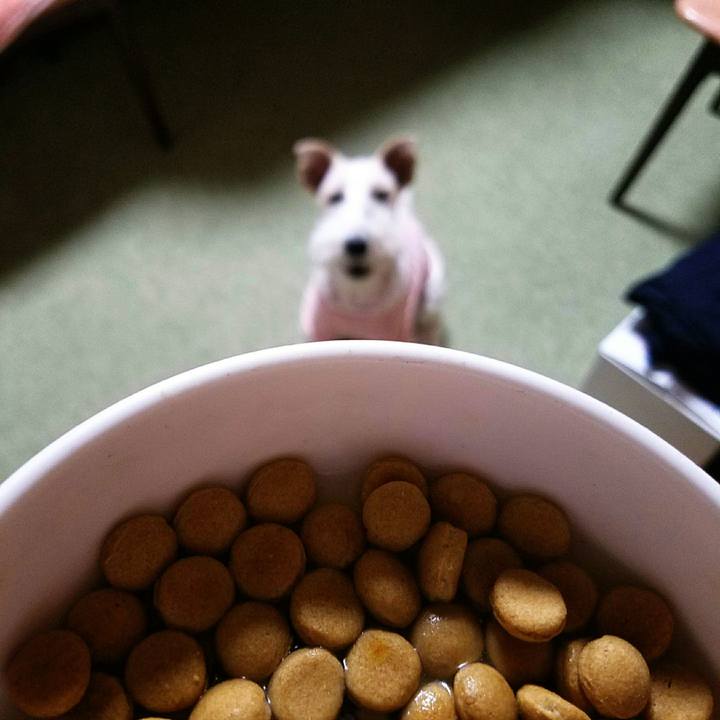 7ccb48d3 be12 4c59 a344 9f374f583e47 1523538002953