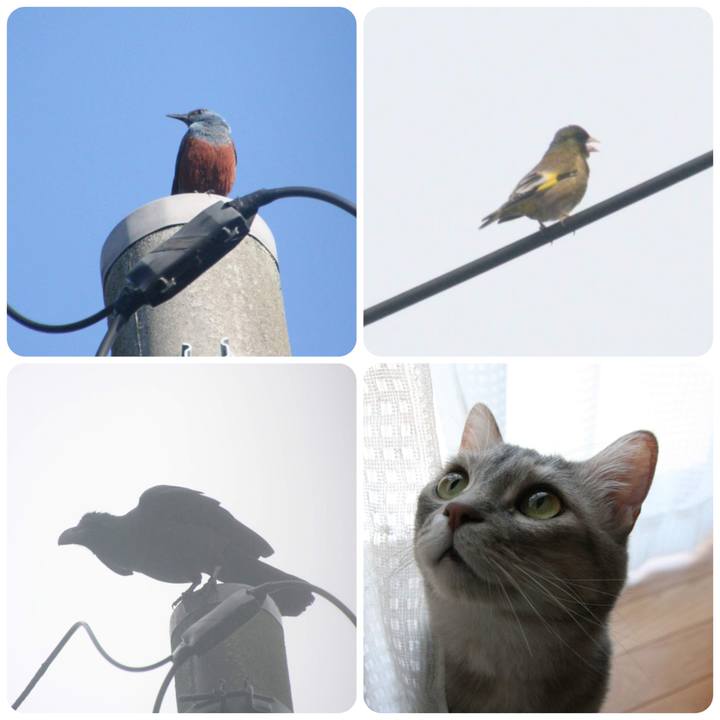 7ccb57fe ee1a 4f75 9bac c429ac904e19 1557549210721