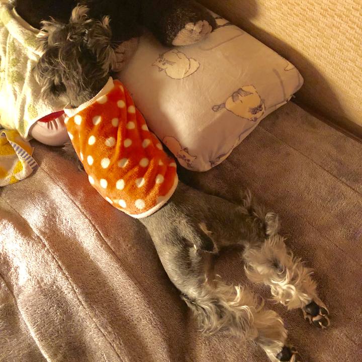 7ccb5a61 fdb3 436d 84e9 15de61316c79 1552065361645