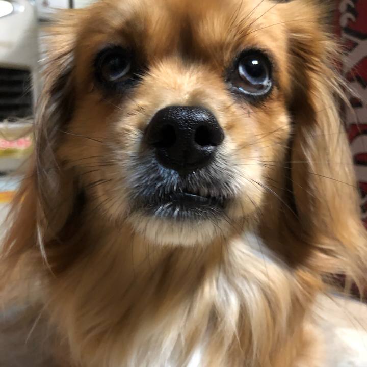 7ccb5ac4 a6fc 48a2 8249 f981cecfabff 1550786020109