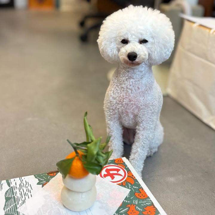 7ccb5f71 0f8c 4b0e a9b8 c77f1cce88b2 1767237421626