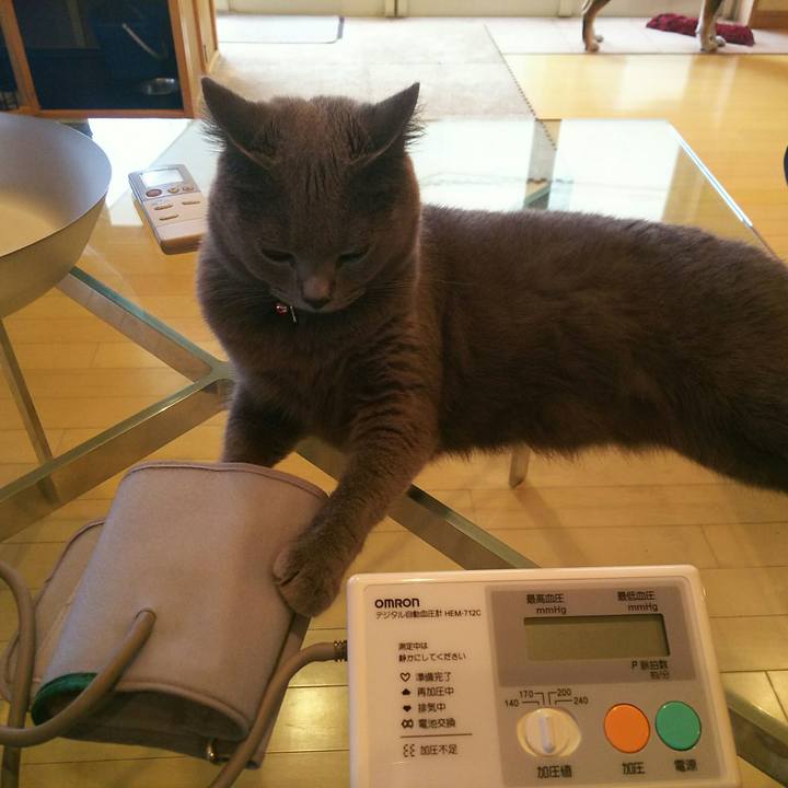 7ccb6234 306b 41ba 87f4 87426c8d9d1b 1534751698907