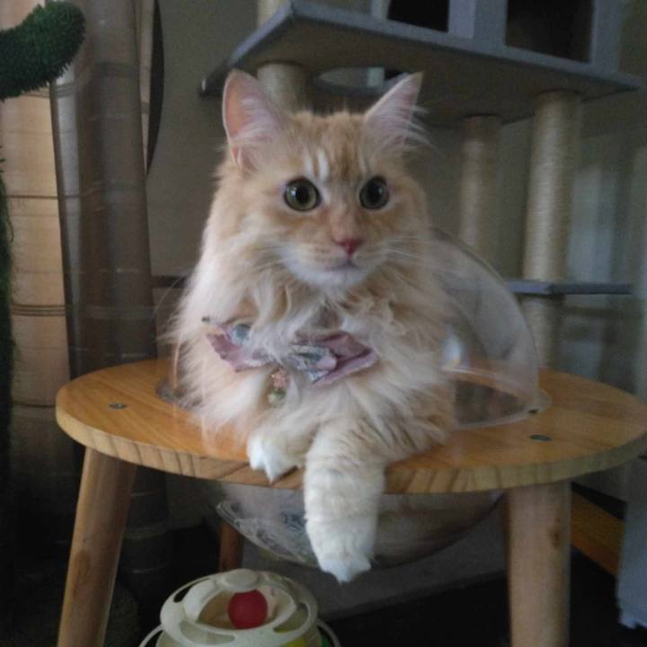 7ccb8161 6174 410c 9a7d d506aabd97c0 1721725680009