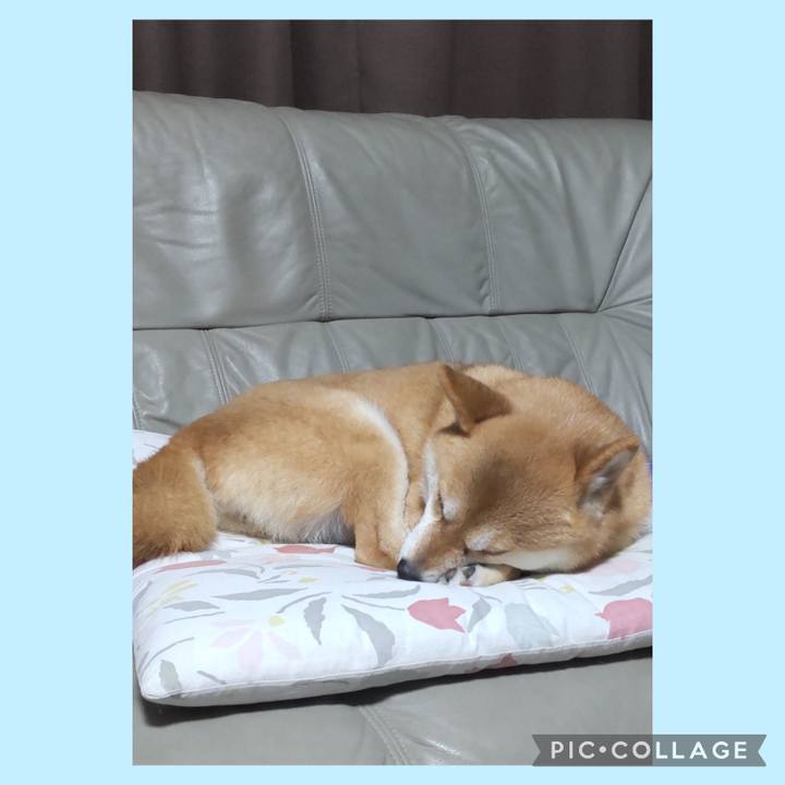 7ccbb689 a044 4f5d 9f9c 5a7576d982e7 1742382527615