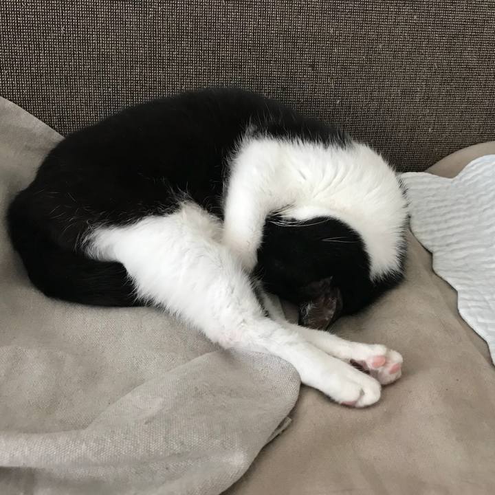 7ccbf396 2422 4cc9 b0e7 f671372c035b 1520746143300