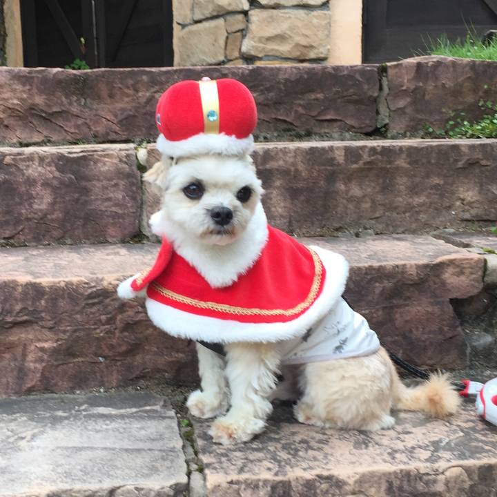 7ccc1566 cd89 4179 863d c9fd84f1eb1c 1566714566629