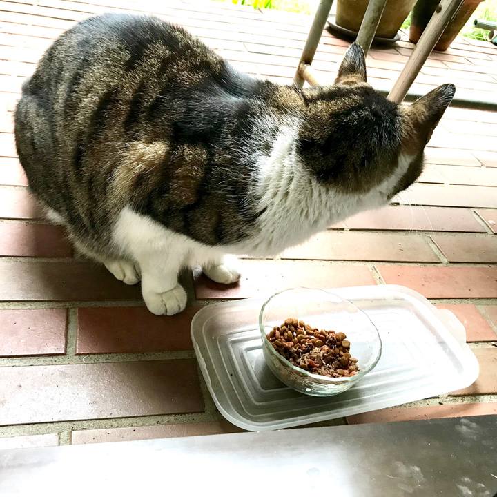 7ccc98e9 2b2b 4165 a99b 0aa7049b21ad 1512019325574