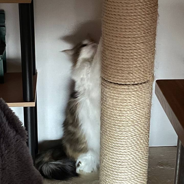 7ccca849 e52c 47de a0c4 fbff7d9b8f60 1677540940265