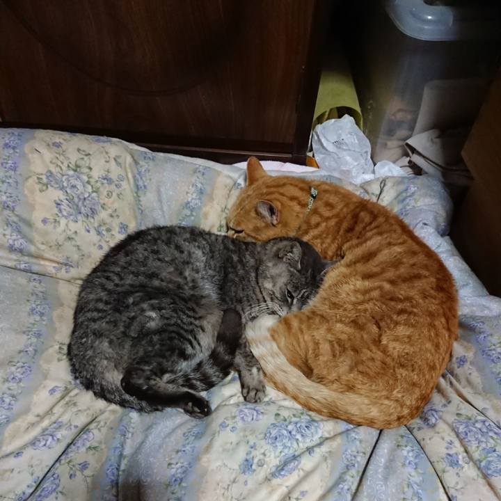 7cccc917 33f7 4ac2 9482 44878e64843c 1583757028439