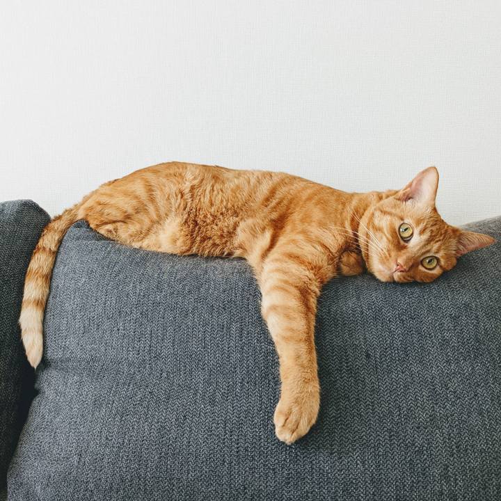 7ccce0ff cee1 4b60 8bbf 16cf9aba54ea 1654426234876