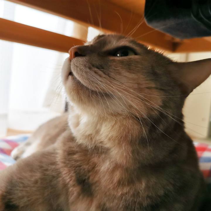 7ccceadd d5e0 4b1f 9ee0 60fccaeedac6 1634468391410