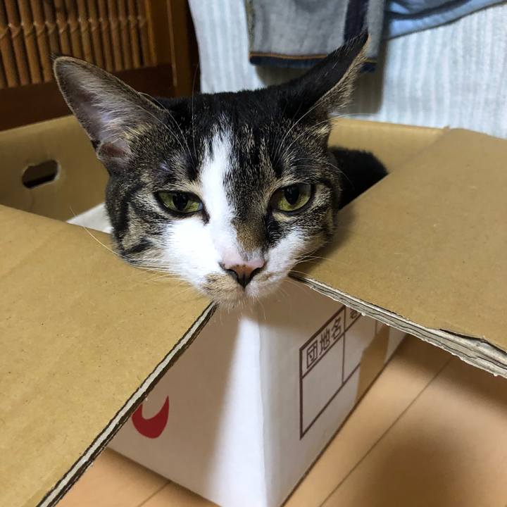 7ccd2975 ddab 4da7 9c83 102fc36e1a13 1533262645270