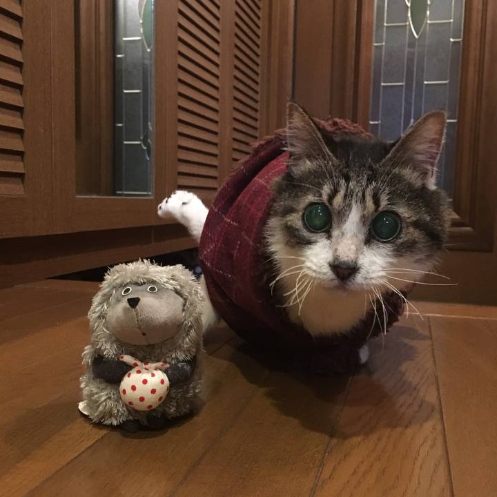 7ccd6dfa 95ba 4476 9f18 96294df2841a 1512818659966