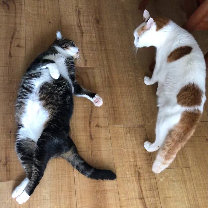 7ccd7c75 3dce 4f61 bd67 92c0d995321c 1660948719601