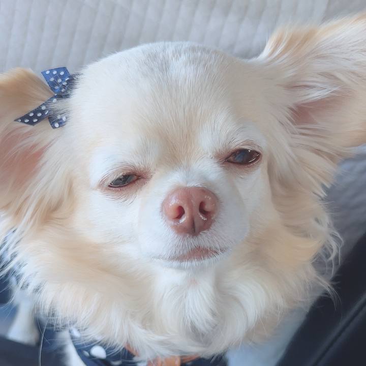 7ccd8ca6 ac8b 45fd 9125 9ab6f708c3ae 1745915753739