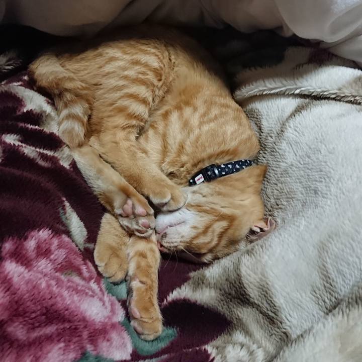 7ccd955d ee83 4f48 9f0d b376fffe74bd 1635855687345