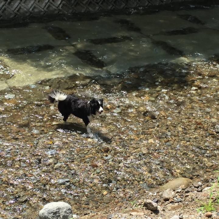 7ccdc631 8360 4027 9171 68aae4f7c859 1721620699595