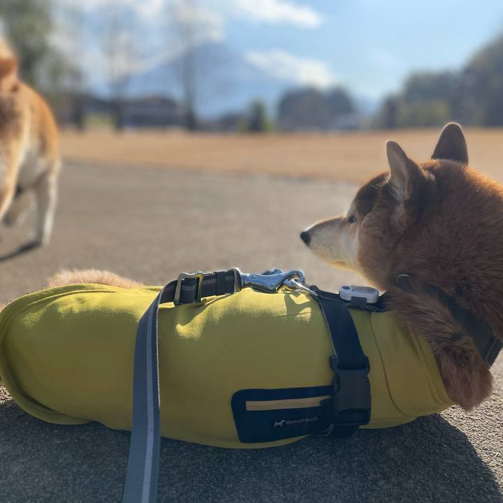 7ccdee5b 151e 45cf 928f ad6525dae5d9 1764855886171