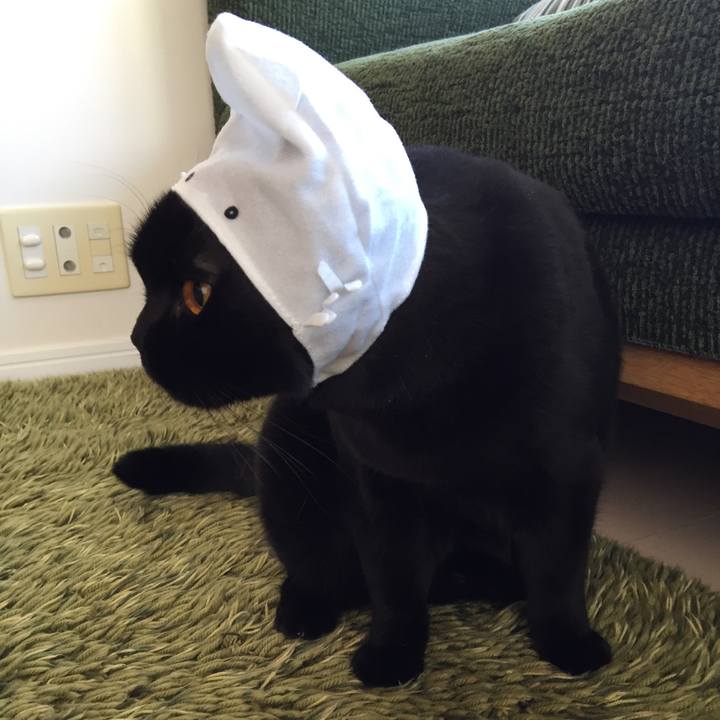 7cce478f 0d78 4640 9473 829daffa86b9 1511055513406