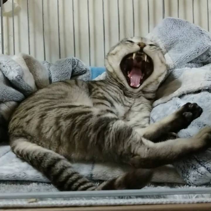 7cce5ec2 14f3 4656 b0c0 15b329578122 1624279081799