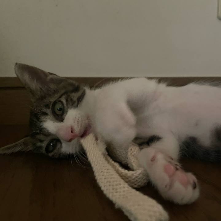 7cce815e a1b6 452a b45f 91579301f69b 1722066563073