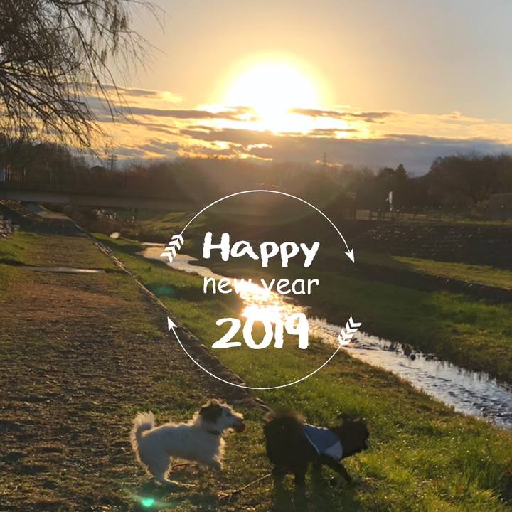 7cce8565 6a5f 43a3 b183 d7e499d3758b 1546304005147