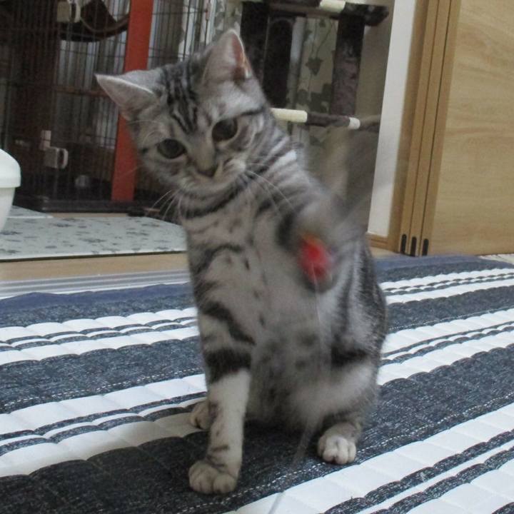 7ccea5d7 0891 4f48 96c2 2c0beffb71e7 1544706464365