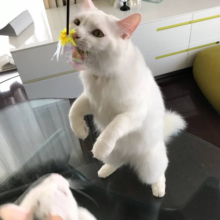 7ccebf1e 46d5 4291 8798 abcf4466b0a9 1575286839414