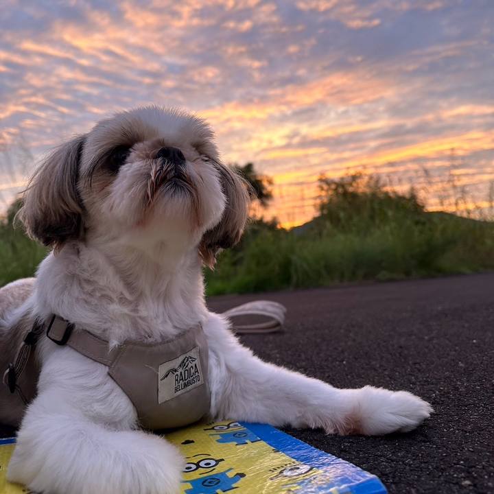 7ccf0451 b7ad 40c3 9843 6d5337afb39c 1727446133297