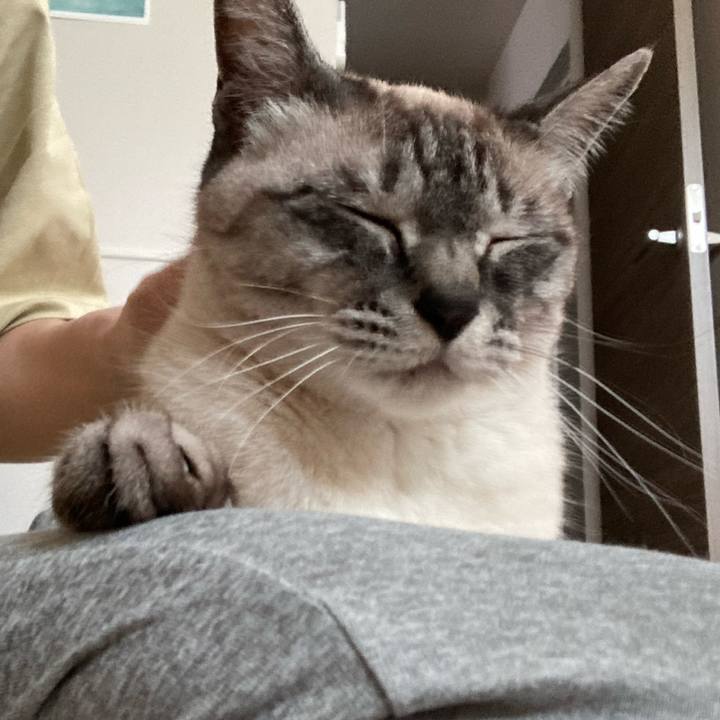 7ccf103a df48 4eae 960a 9d3d92666c57 1652240289030