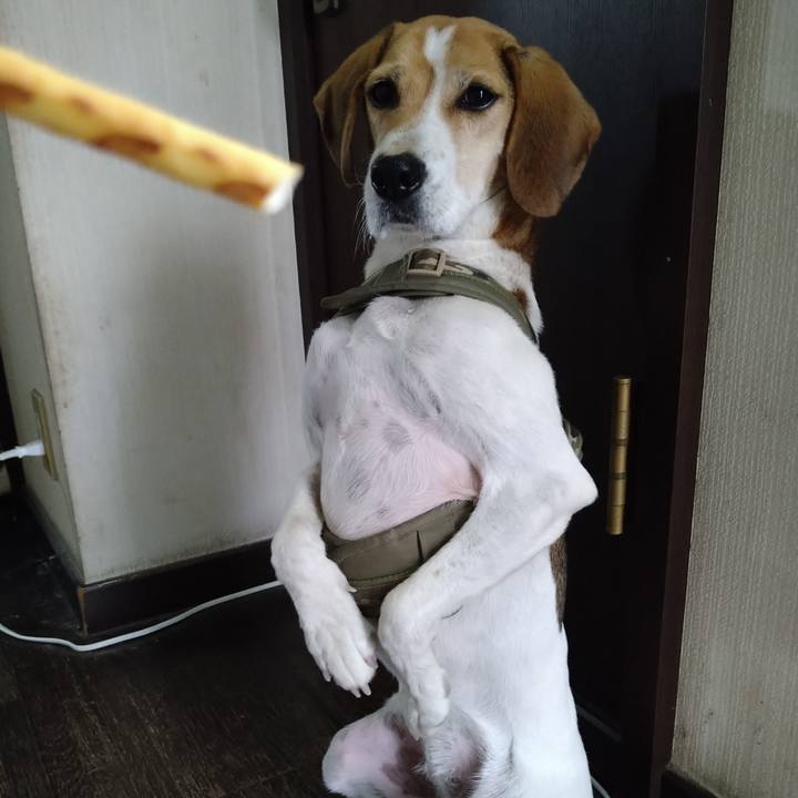 7ccf3566 2274 491c a172 dbba551da3d4 1670230854637