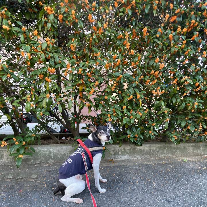 7ccf3cd1 ba52 4a6f 8922 97d9dba7d748 1603232208114